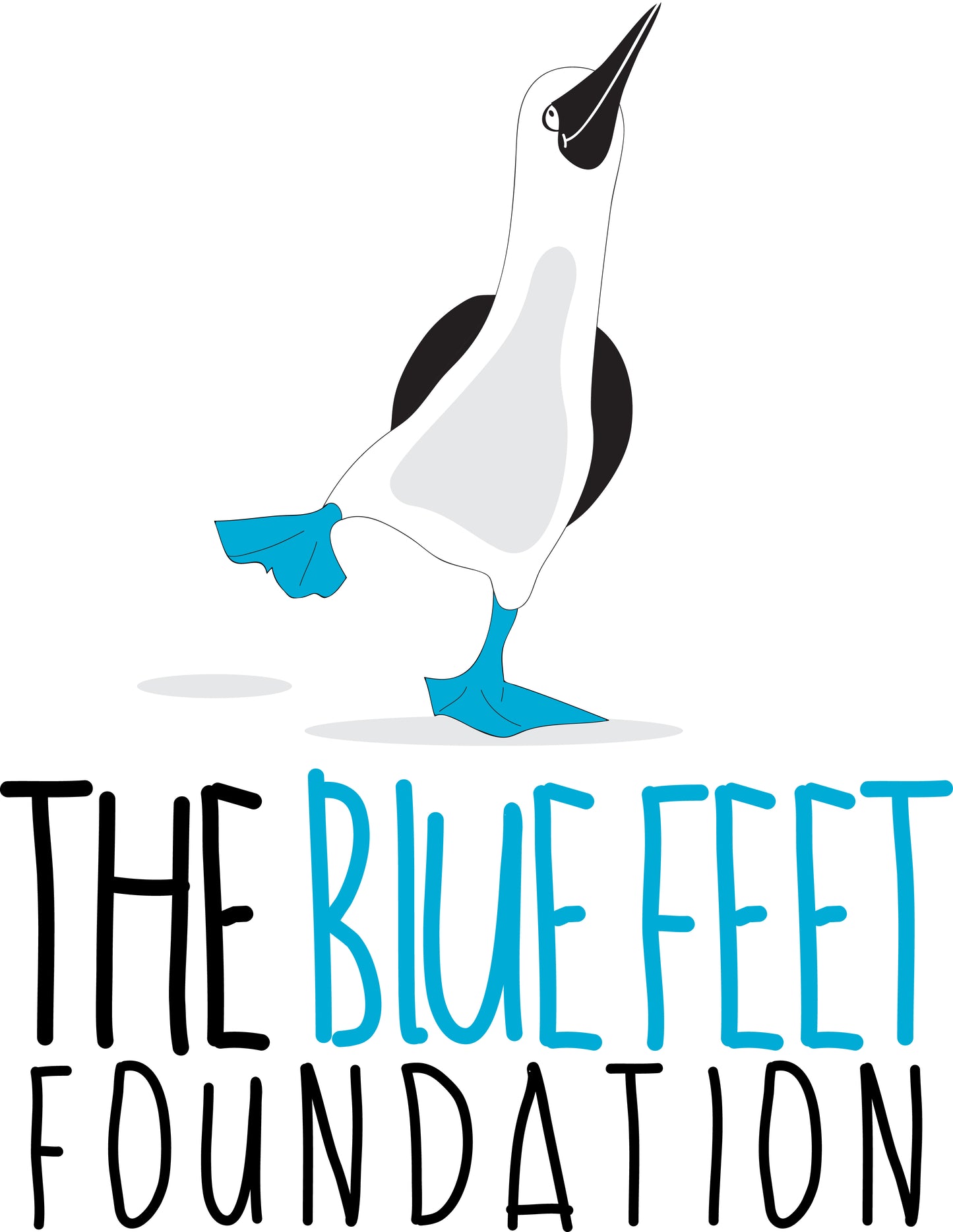 Make A Donation to The Blue Feet Foundation