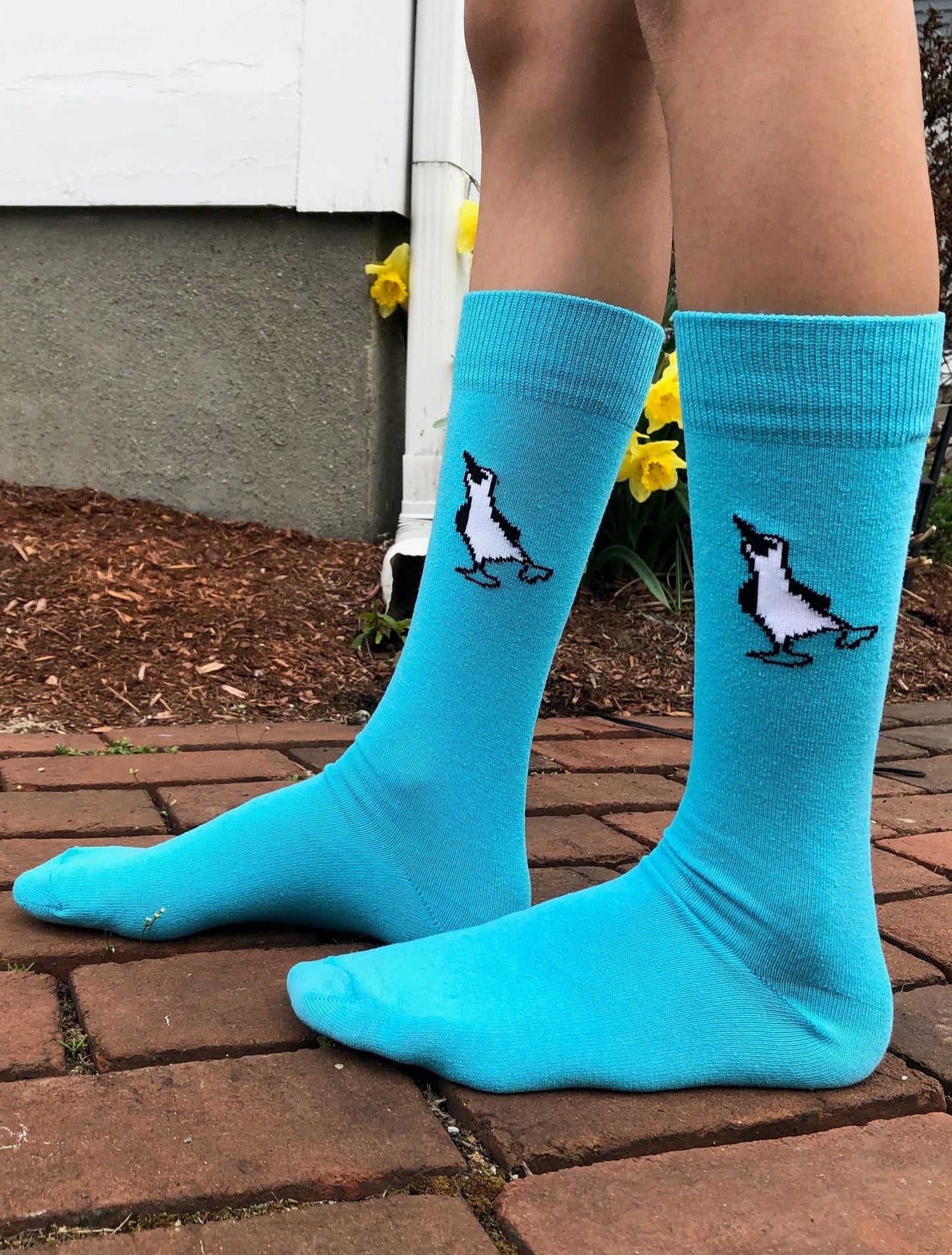 Blue-footed booby socks
