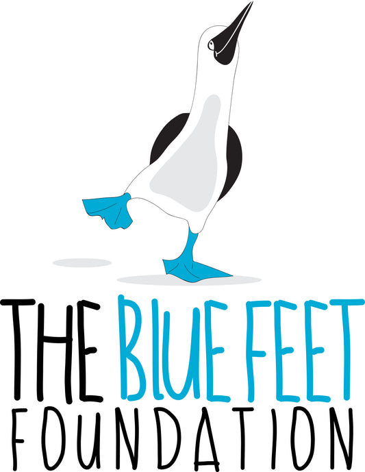 Make A Donation to The Blue Feet Foundation