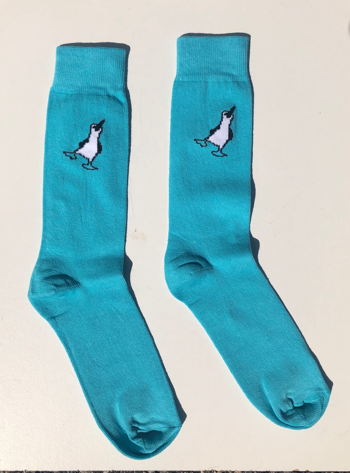 Blue-footed booby socks